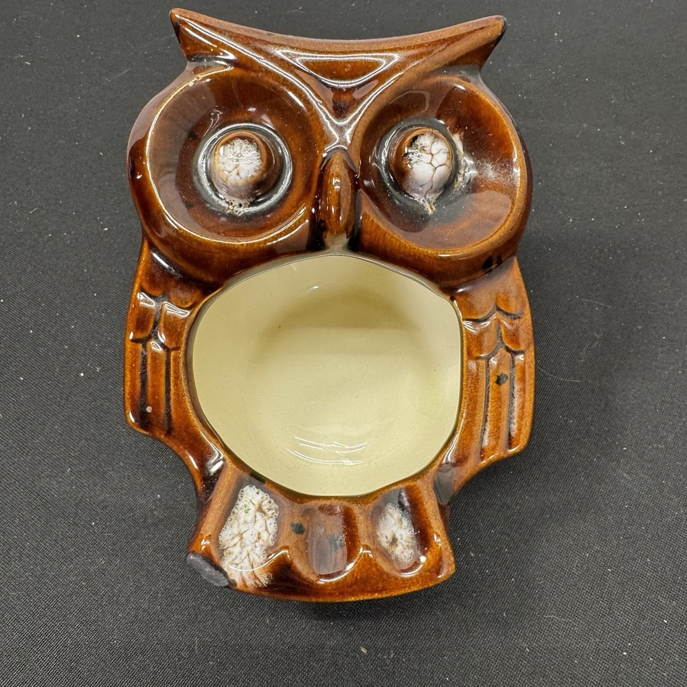 VTG MCM Ceramic Hand‎ Painted Owl Ashtray Or Sponge Holder